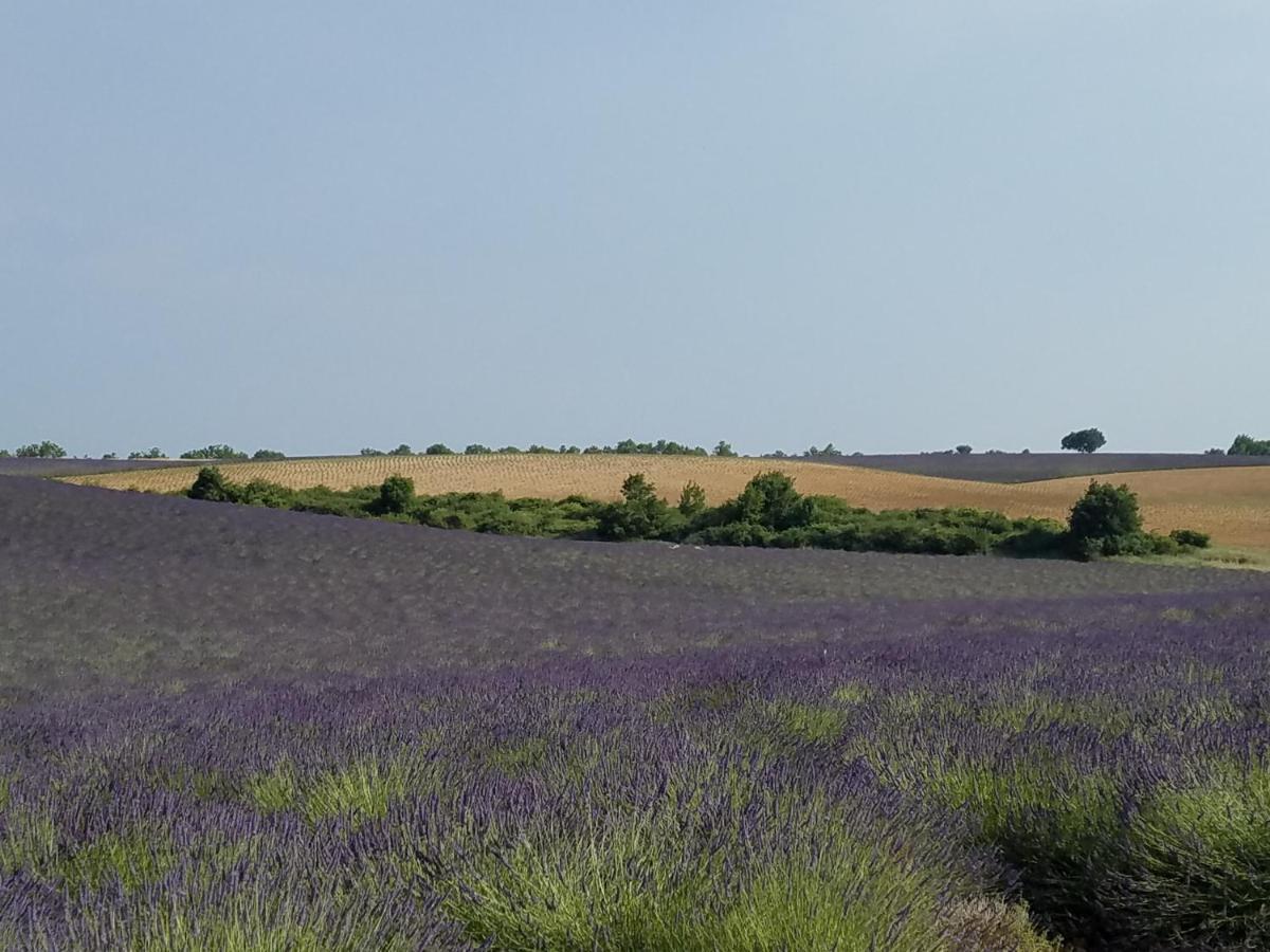 Baudinard Gite Les Fourches מראה חיצוני תמונה